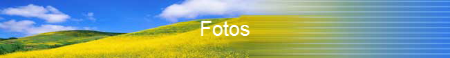Fotos